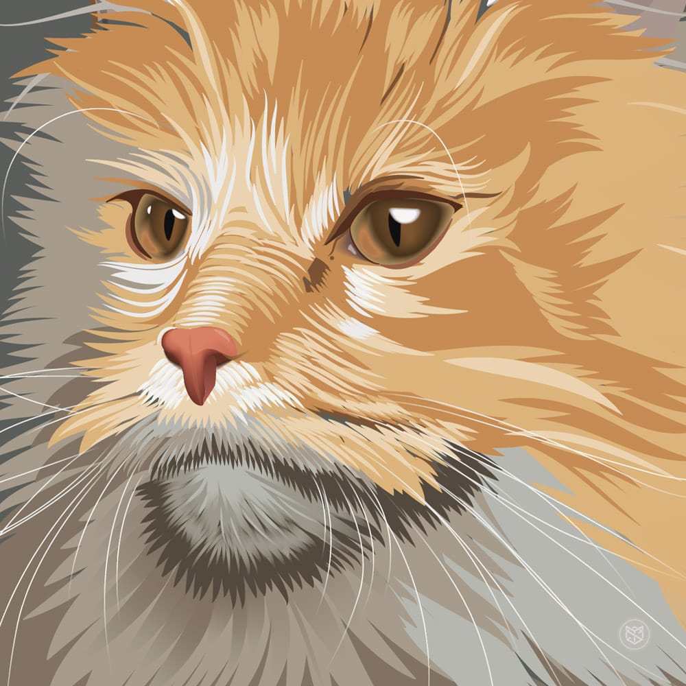 Study Cat: Master of Focus