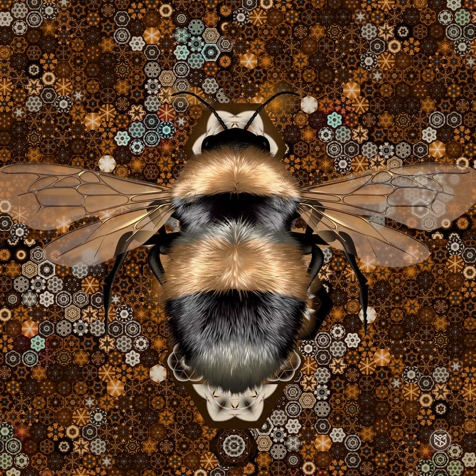 Mathematics In Nature